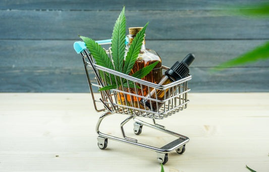 The Complete Guide to Buying CBD Products Online for New Users
